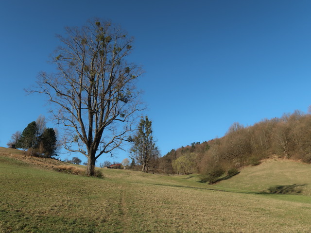 zwischen Furth an der Triesting und Am&ouml;d
