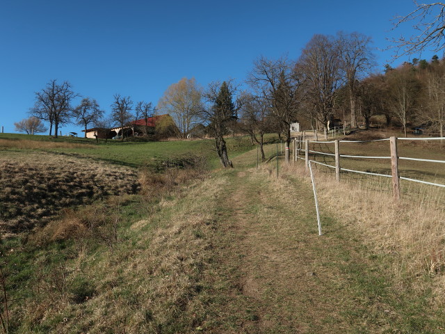 zwischen Furth an der Triesting und Am&ouml;d