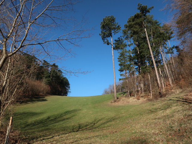 zwischen Am&ouml;d und Gaissteiner