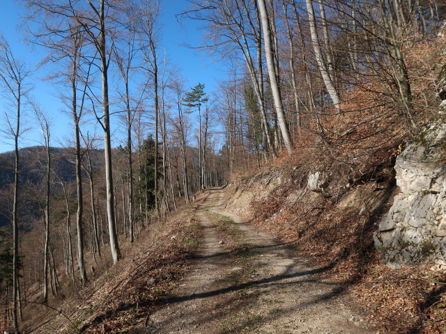 zwischen Am&ouml;d und Gaissteiner