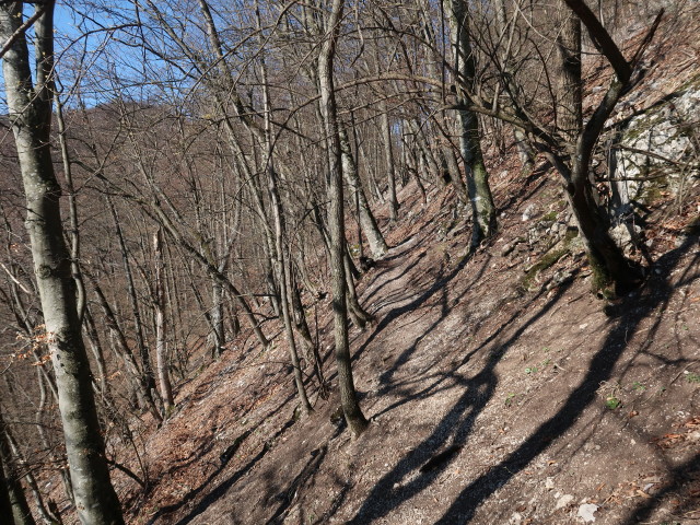 zwischen Gaissteiner und Himmelsreith