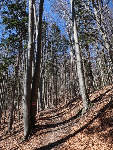 zwischen Gaisstein und Atzsattel