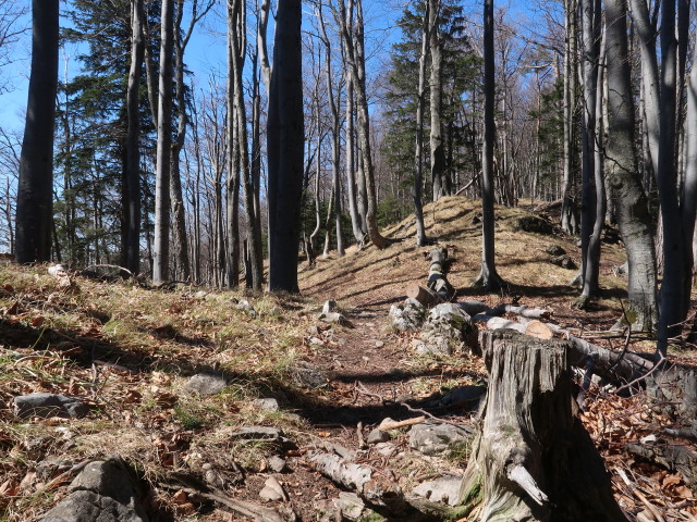 zwischen Atzsattel und Gei&szlig;ruck