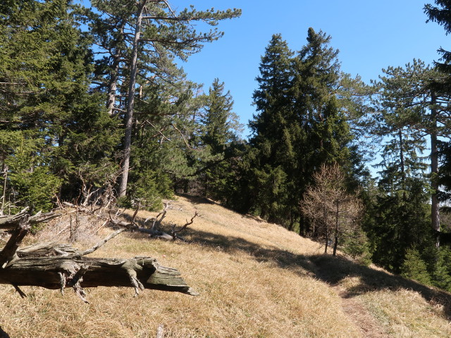 zwischen Gei&szlig;ruck und Almeskogel