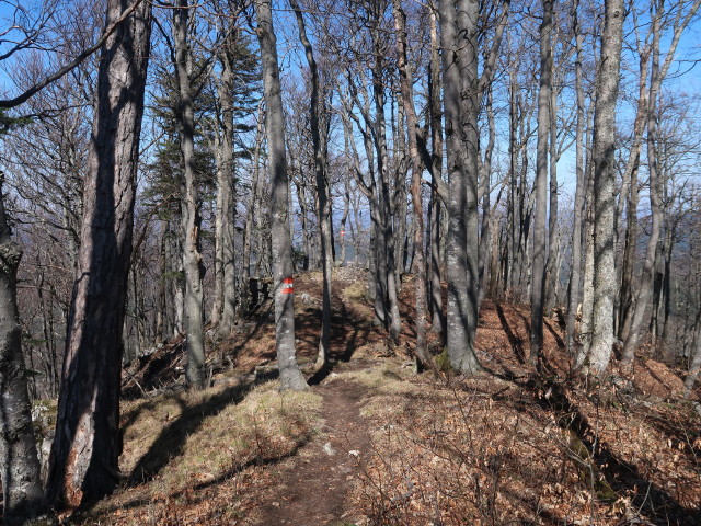 zwischen Reingupf und Veiglkogel