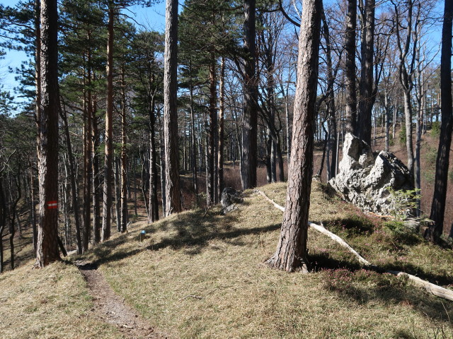 zwischen Reingupf und Veiglkogel