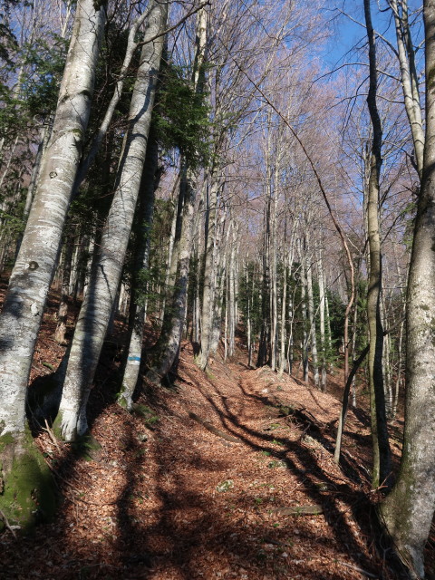 zwischen Solleneck und Wei&szlig;enbachalm