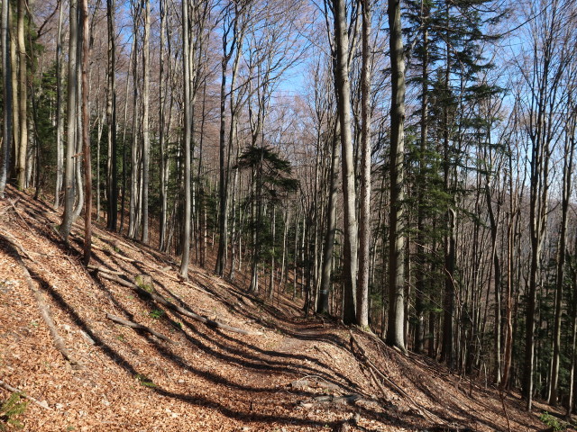 zwischen Solleneck und Wei&szlig;enbachalm