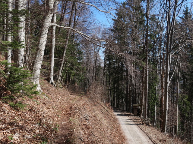 zwischen Solleneck und Wei&szlig;enbachalm