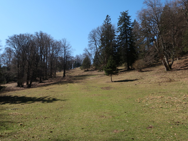 zwischen Kleinzeller Hinteralm und Reisalpe