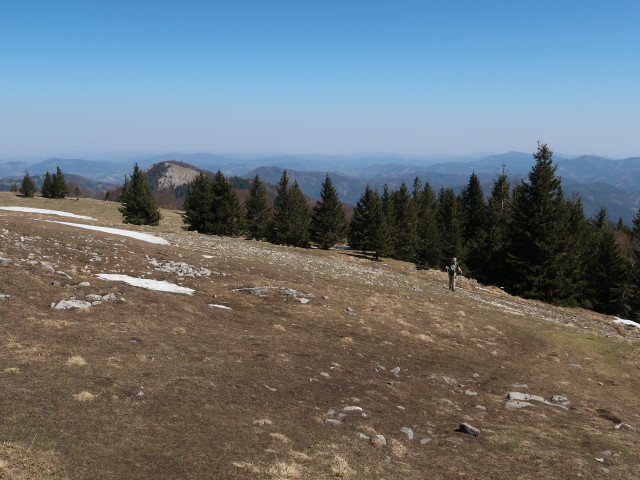 zwischen Reisalpe und Kleinzeller Hinteralm