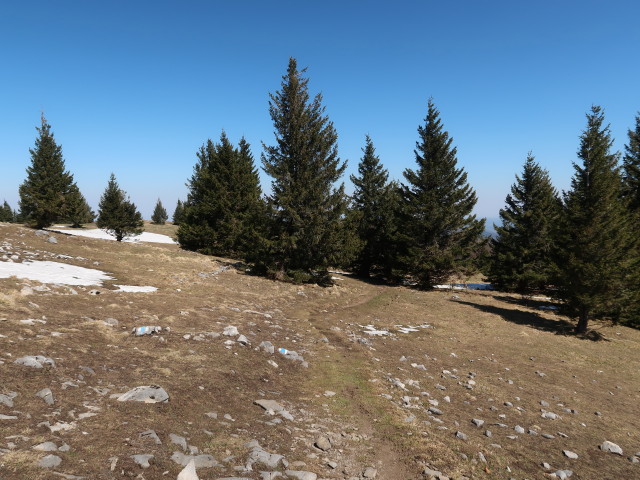 zwischen Reisalpe und Kleinzeller Hinteralm