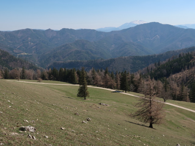 zwischen Kleinzeller Hinteralm und Hochstaff