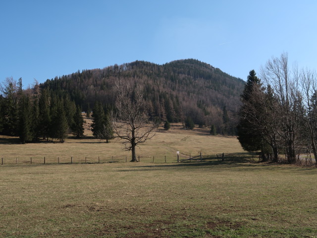 Ebenwald, 1.020 m