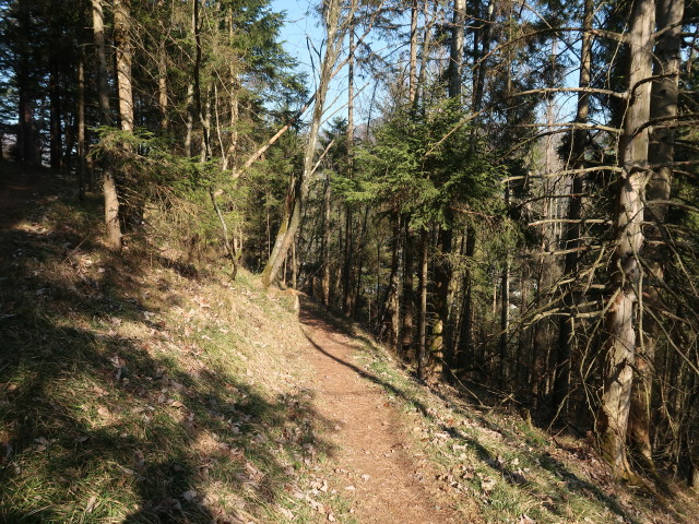 zwischen T&uuml;rnitz und Schauerkogel