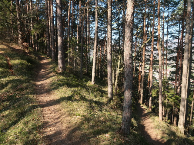 zwischen T&uuml;rnitz und Schauerkogel