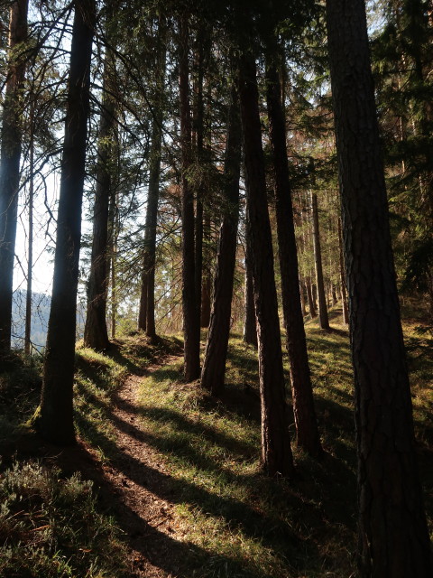 zwischen T&uuml;rnitz und Schauerkogel
