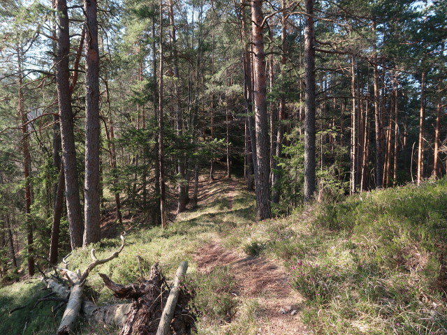 zwischen T&uuml;rnitz und Schauerkogel