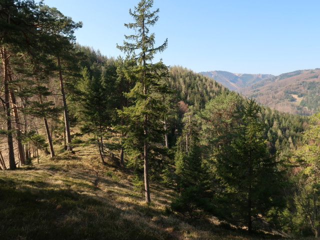 zwischen T&uuml;rnitz und Schauerkogel