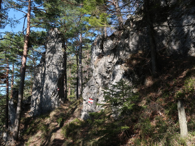 zwischen Geierstein und T&uuml;rnitzer H&ouml;ger