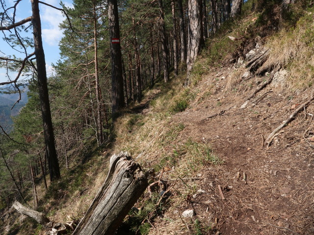 zwischen Geierstein und Türnitzer Höger