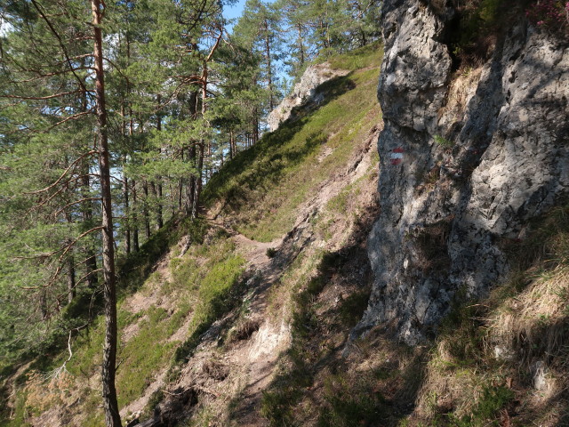 zwischen Geierstein und Türnitzer Höger