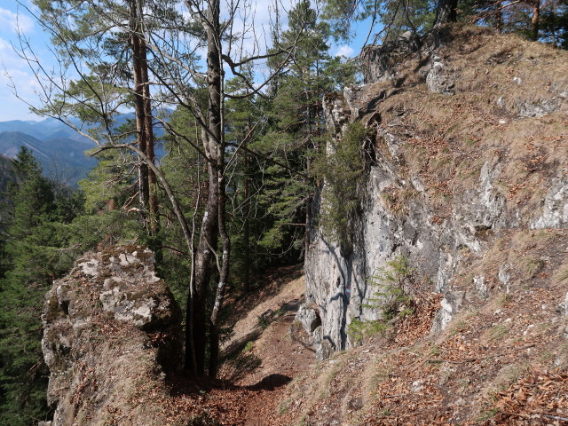 zwischen Geierstein und T&uuml;rnitzer H&ouml;ger