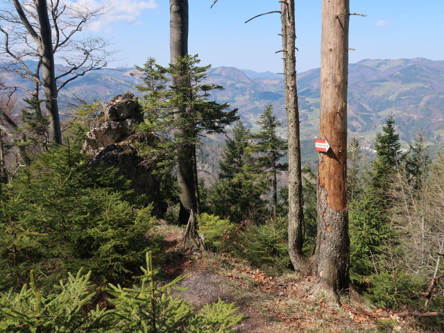zwischen Geierstein und T&uuml;rnitzer H&ouml;ger