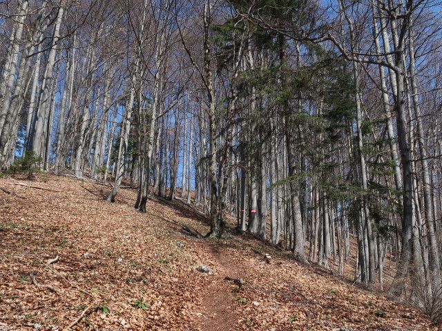 zwischen Geierstein und T&uuml;rnitzer H&ouml;ger