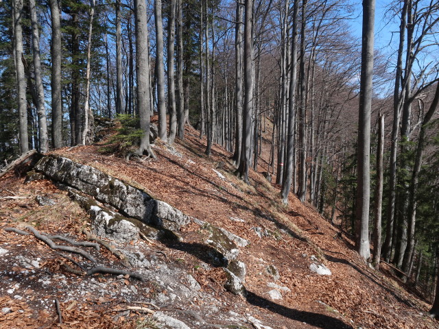 zwischen Geierstein und T&uuml;rnitzer H&ouml;ger
