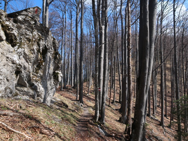 zwischen Geierstein und T&uuml;rnitzer H&ouml;ger
