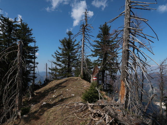 zwischen Geierstein und T&uuml;rnitzer H&ouml;ger