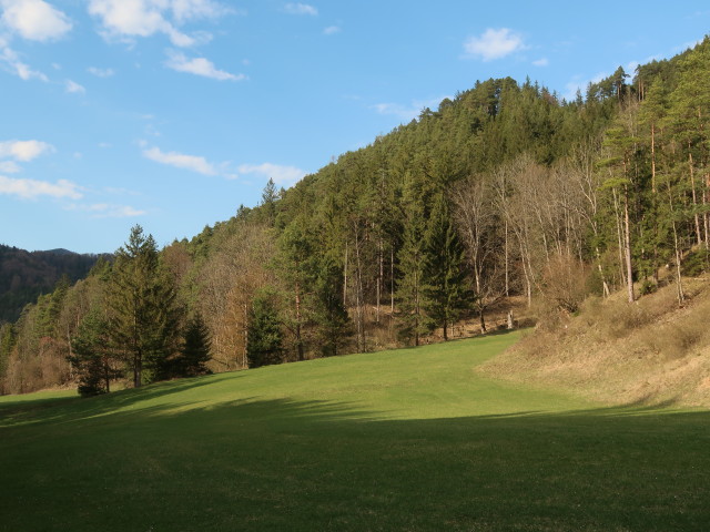 zwischen Waldandacht und T&uuml;rnitz