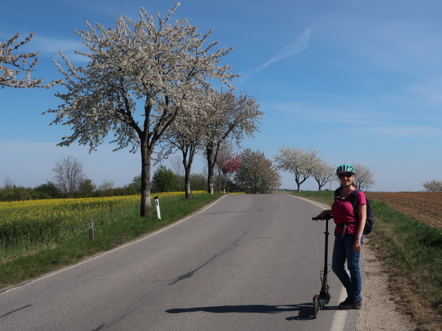 Sabine zwischen Streifing und Bogenneusiedl