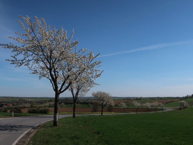 zwischen Streifing und Bogenneusiedl