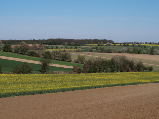 zwischen Streifing und Bogenneusiedl