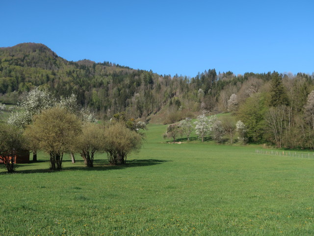 zwischen Schildb&ouml;ck und Poldl im Reit