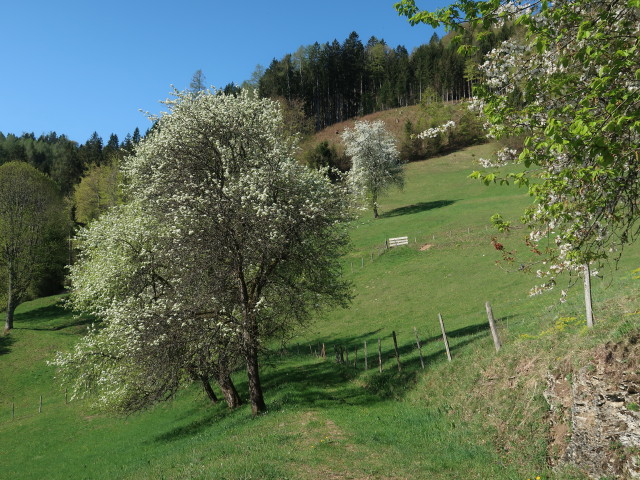 zwischen Am Berg und Karnerhofspitze