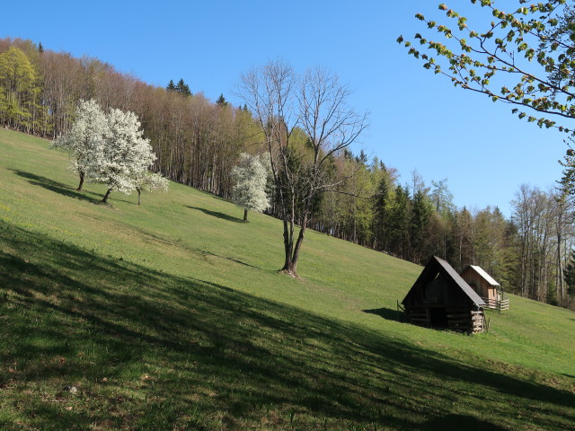 zwischen Am Berg und Karnerhofspitze