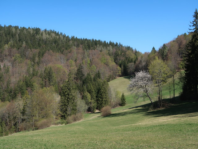 zwischen Am Berg und Karnerhofspitze
