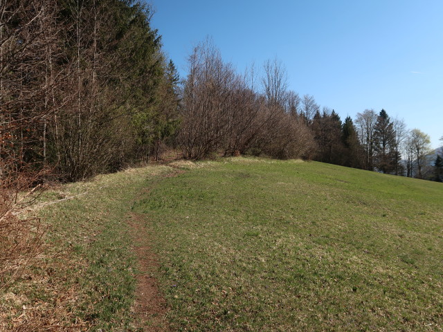 zwischen Am Berg und Karnerhofspitze