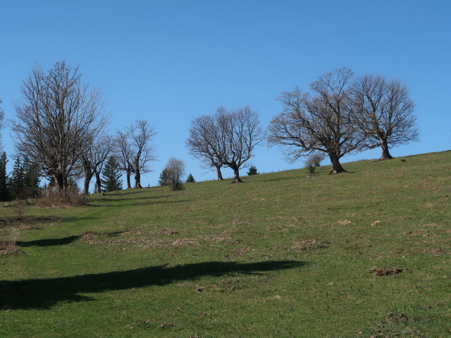 zwischen Am Berg und Karnerhofspitze