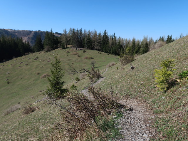 zwischen Karnerhofspitze und Österleinbrunnhütte