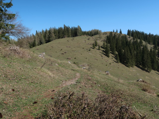 zwischen Karnerhofspitze und &Ouml;sterleinbrunnh&uuml;tte