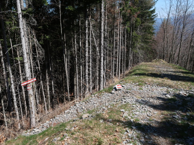 zwischen &Ouml;sterleinbrunnh&uuml;tte und Tirolerkogel