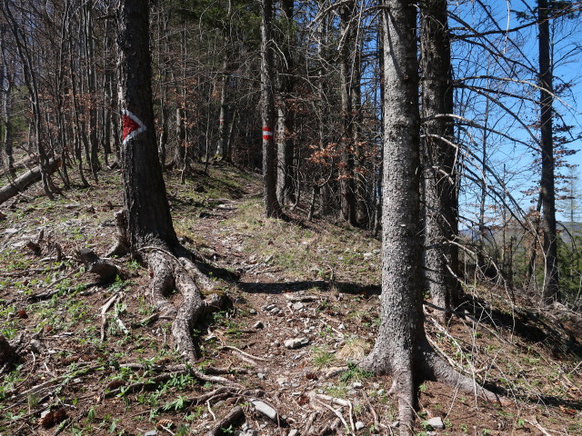 zwischen &Ouml;sterleinbrunnh&uuml;tte und Tirolerkogel