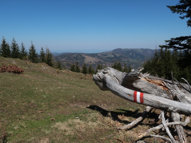 zwischen &Ouml;sterleinbrunnh&uuml;tte und Tirolerkogel