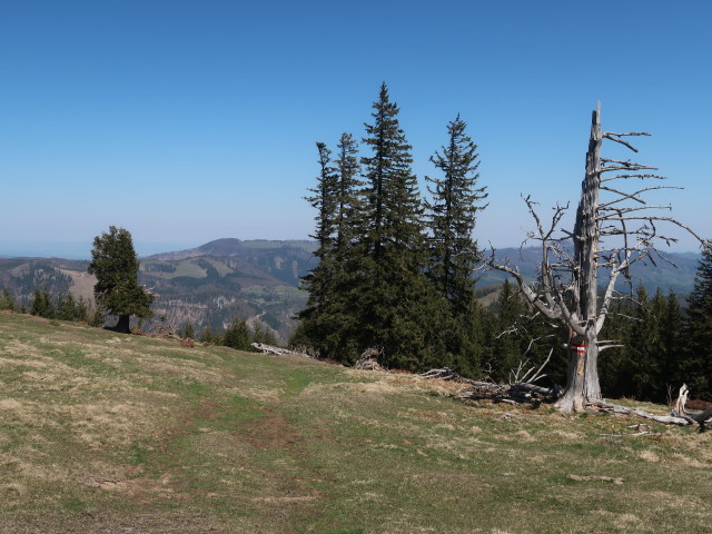 zwischen Österleinbrunnhütte und Tirolerkogel