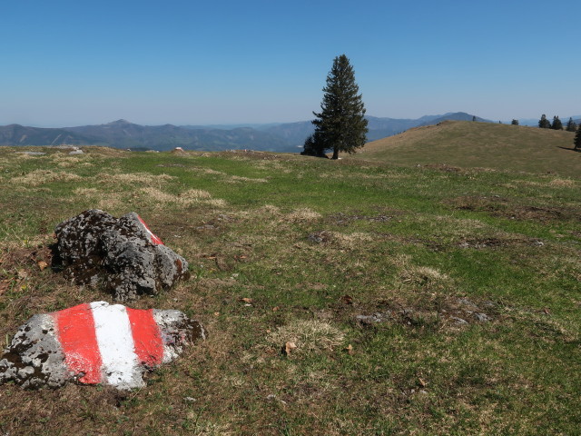 zwischen &Ouml;sterleinbrunnh&uuml;tte und Tirolerkogel