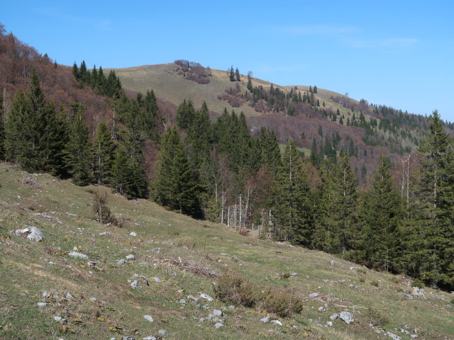 zwischen Tirolerkogel und Dachsental